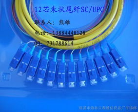 連接數字世界的橋梁 束狀尾纖、光纖跳線與皮線光纜